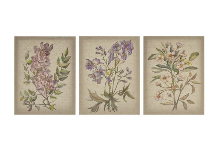 Bring the organic touch of a charming garden inside your home with our Madison Park Linen Botanicals Illustration 3-piece Canvas Wall Art Set