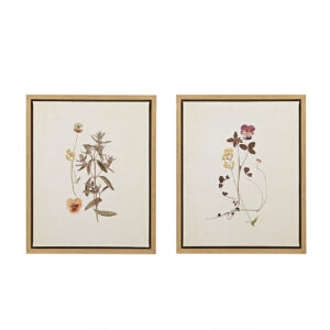 The Martha Stewart French Herbarium 2-piece Framed Canvas Wall Art Set by Artist Devon Ross adds the perfect cottage-inspired charm to your home decor. This 2 Piece Wall Art set showcases beautiful dainty wild flowers in soft feminine tones