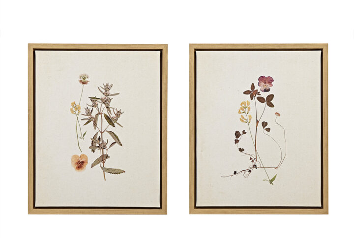 The Martha Stewart French Herbarium 2-piece Framed Canvas Wall Art Set by Artist Devon Ross adds the perfect cottage-inspired charm to your home decor. This 2 Piece Wall Art set showcases beautiful dainty wild flowers in soft feminine tones