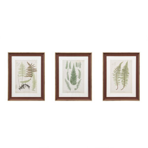 Give your space a refreshing botanical touch with the Martha Stewart Lady Fern Collection Botanical Illustration 3-piece Framed Glass and Single Matted Wall Art Set. Each country-inspired wall decor features a lovely fern graphic displayed in a single matte frame to create an elegant cottage allure. A glass top protects the framed graphic