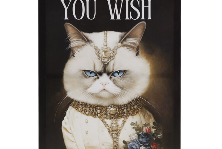 Add a dose of humor and charm to your living space with Tessa Kane's grumpy cat art. This canvas