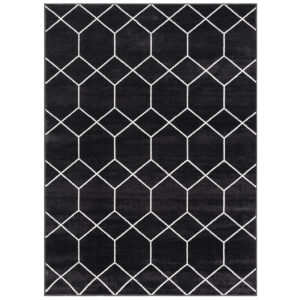 this area rug features a black and cream geometric trellis pattern creating a bold contrasting look. The soft