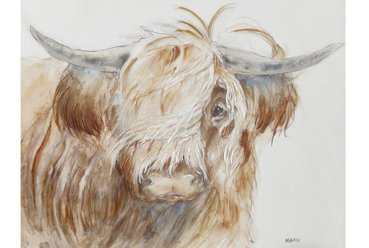 Unleash the modern artistry of farmhouse style with Ink+Ivy's "Windswept" Wall Decor. This 26"W x 20"H canvas features a majestic highland bull with windswept hair gracefully draping over one eye. Embrace a rustic home decor ambiance by placing it in your living room