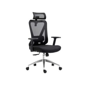 Truly Ergonomic Mesh Office Chair with Headrest & Lumbar Support