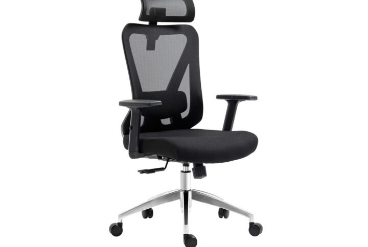 Truly Ergonomic Mesh Office Chair with Headrest & Lumbar Support