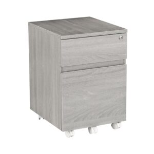 Rolling two Drawer Vertical Filing Cabinet with Lock and Storage