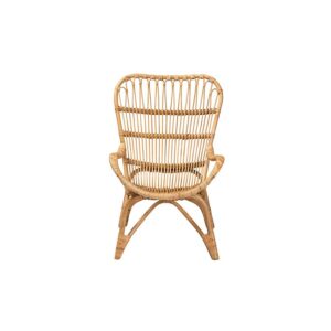 Earvin Modern Bohemian Natural Brown Rattan Armchair From bali & pari