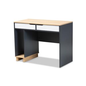 Baxton Studio Reed Mid-Century Modern 2-Drawer Multicolor Wood Computer Desk From Baxton Studio