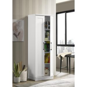 Evelyn White Sleek Storage Cabinet with Framed Panel Design From Lilola Home