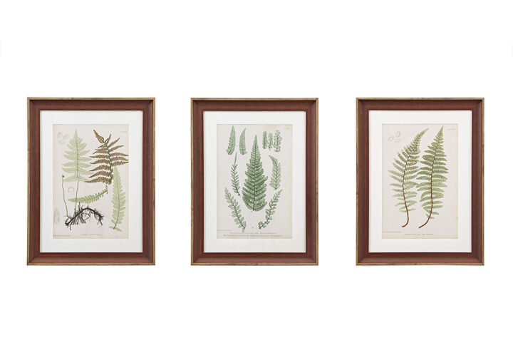 Give your space a refreshing botanical touch with the Madison Park Lady Fern Collection Botanical Illustration 3-piece Framed Glass and Single Matted Wall Art Set. Each country-inspired wall decor features a lovely fern graphic displayed in a single matte frame to create an elegant cottage allure. A glass top protects the framed graphic