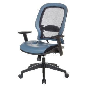 Black/Blue From Office Star