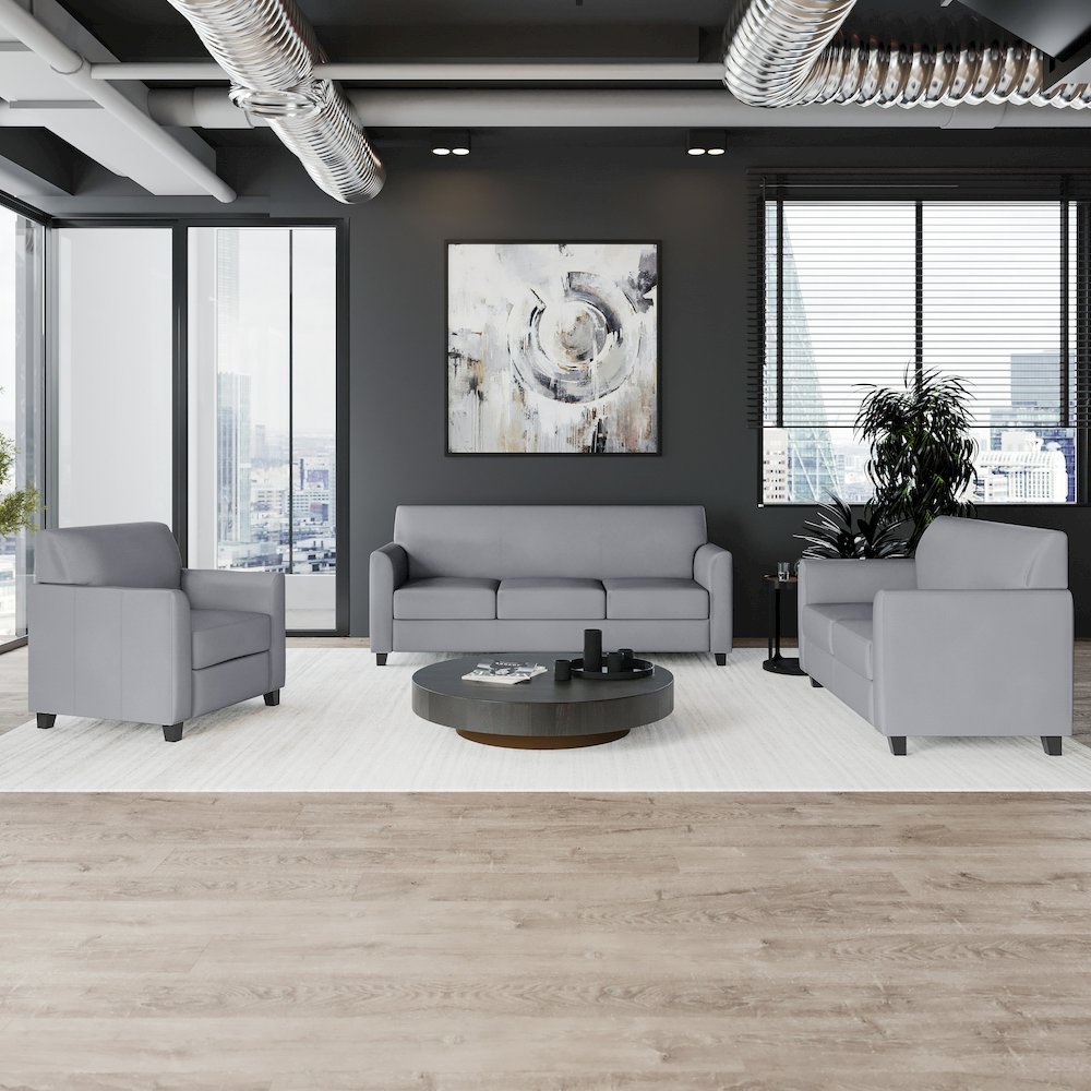 Diplomat Reception Set in Gray LeatherSoft