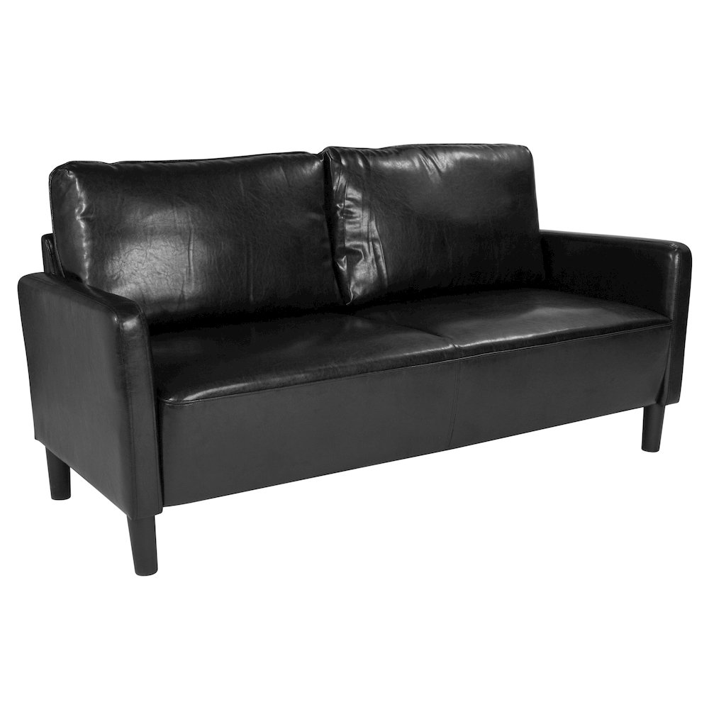 Contemporary Style Black LeatherSoft Sofa