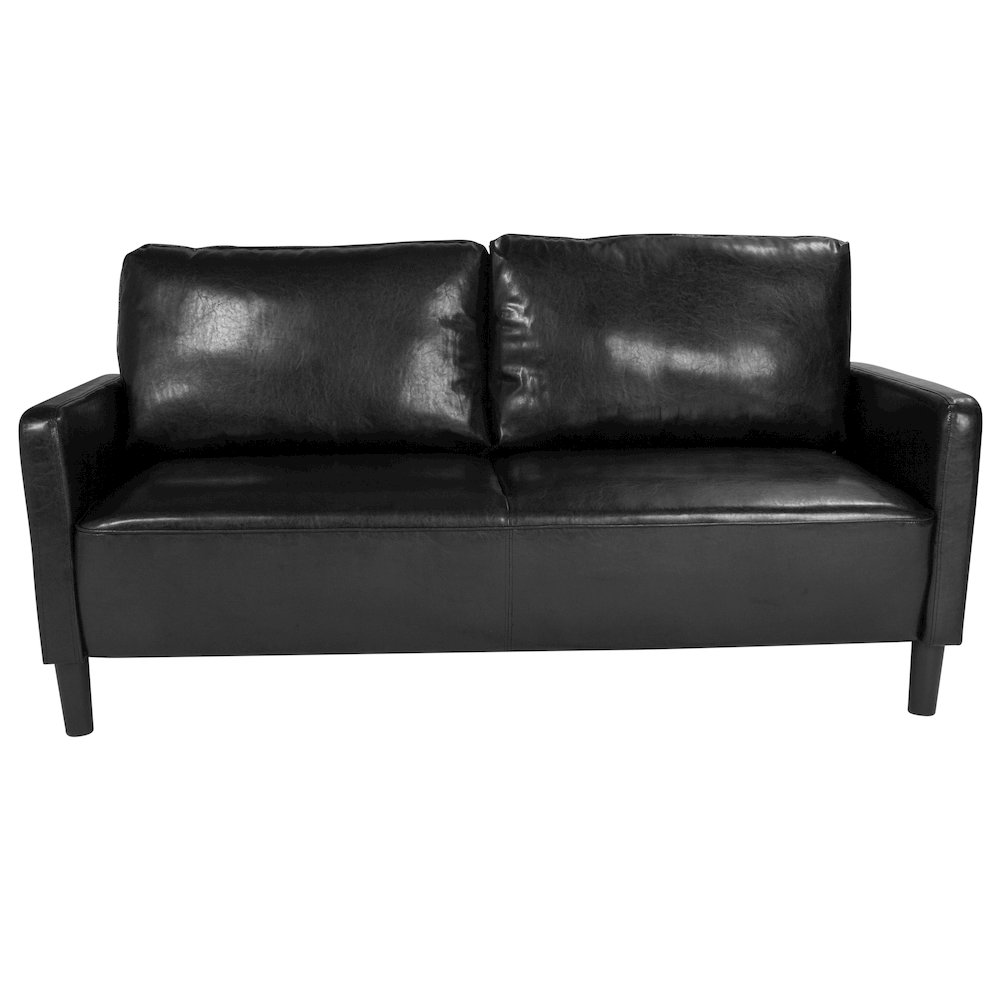 Contemporary Style Black LeatherSoft Sofa