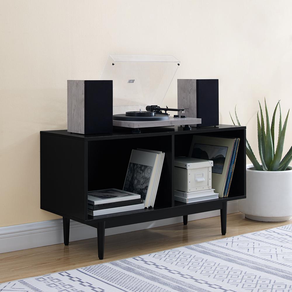 Liam Medium Record Storage Console Cabinet