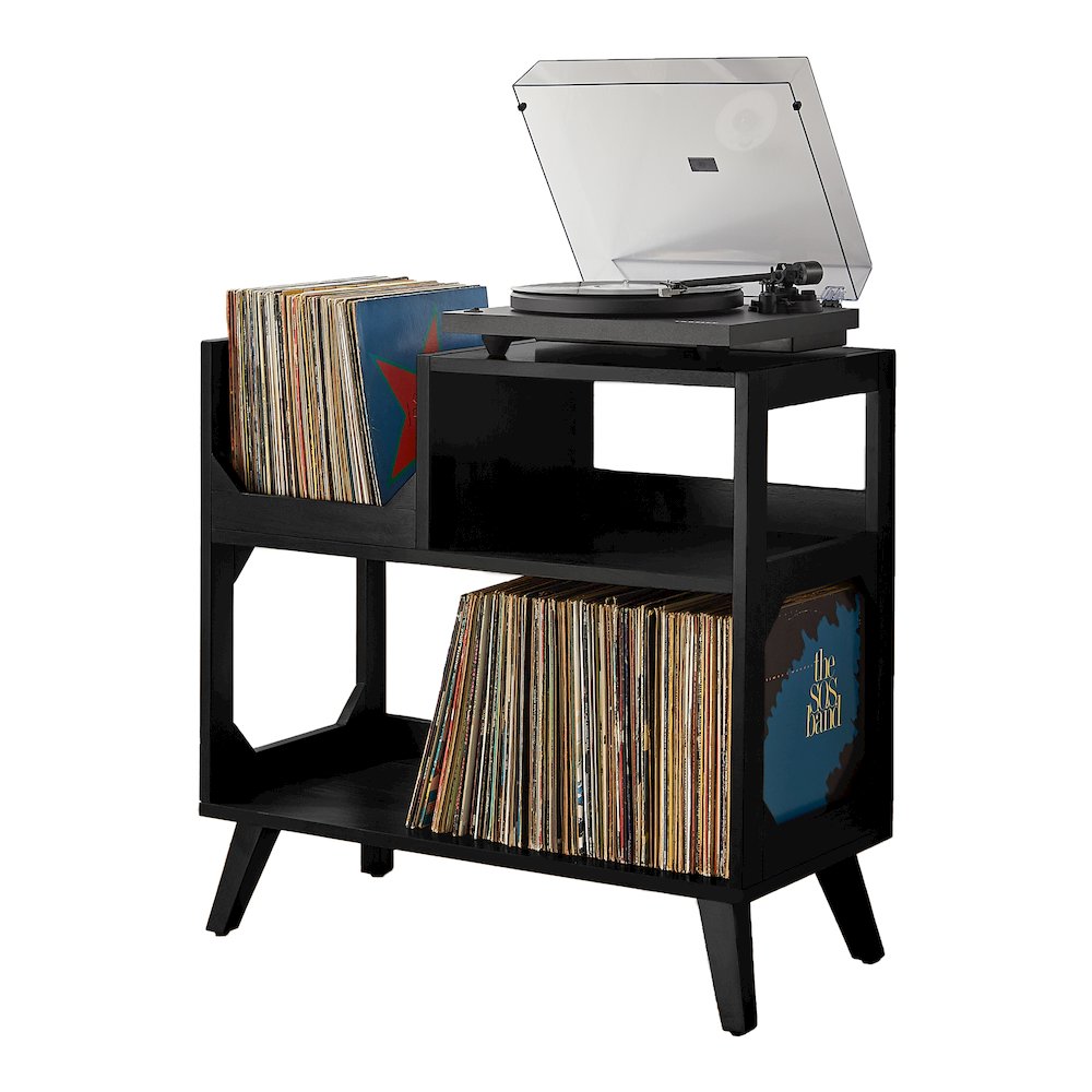 Asheville Medium Record Storage Console Black