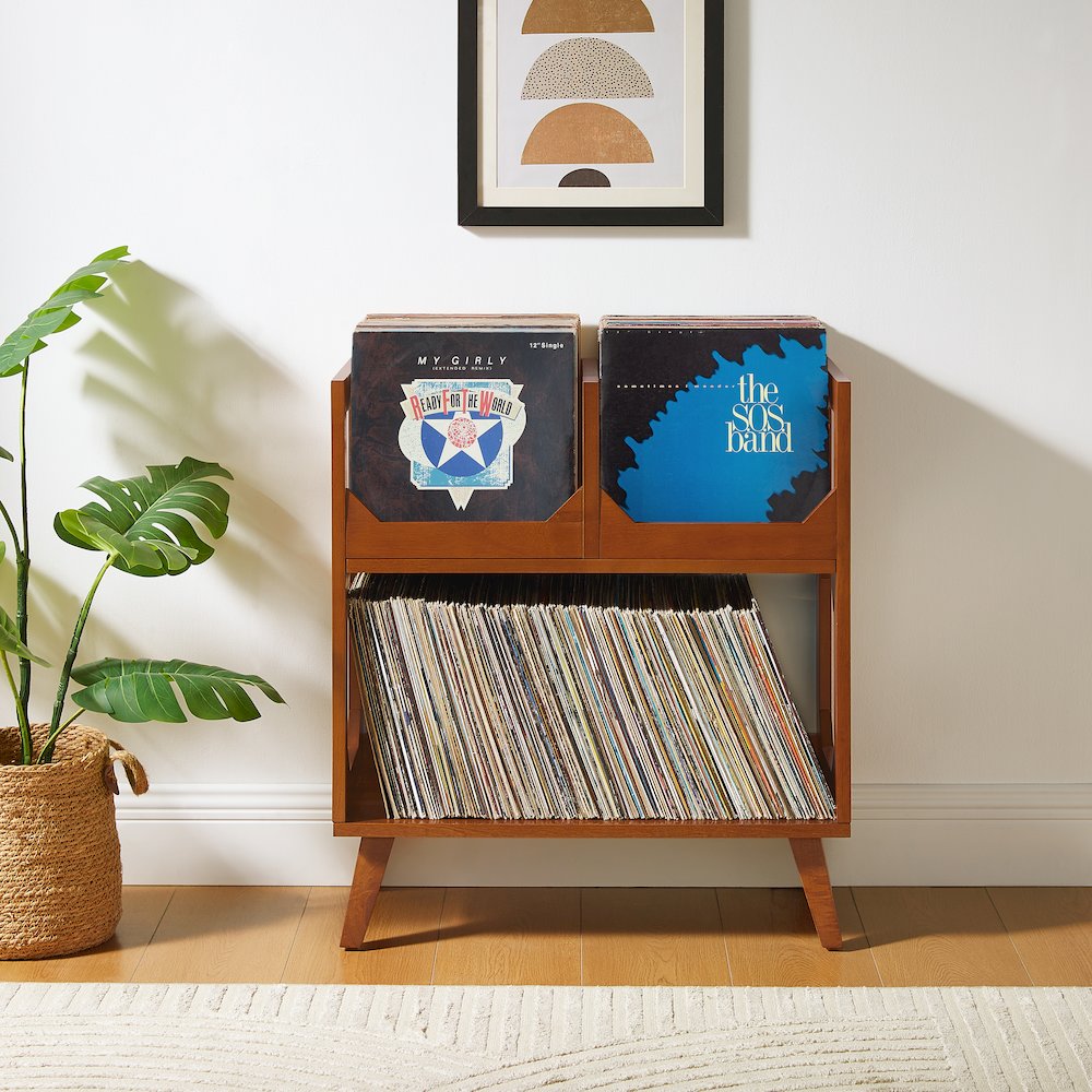Asheville Medium Record Storage Stand In Walnut