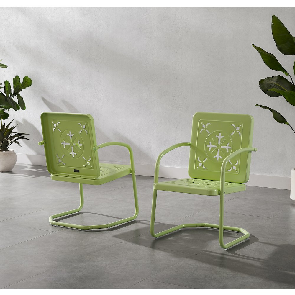 Azalea 2-Piece Retro Outdoor Chair Set