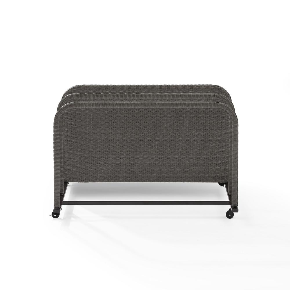 Palm Harbor Wicker Outdoor Storage Pool Caddy