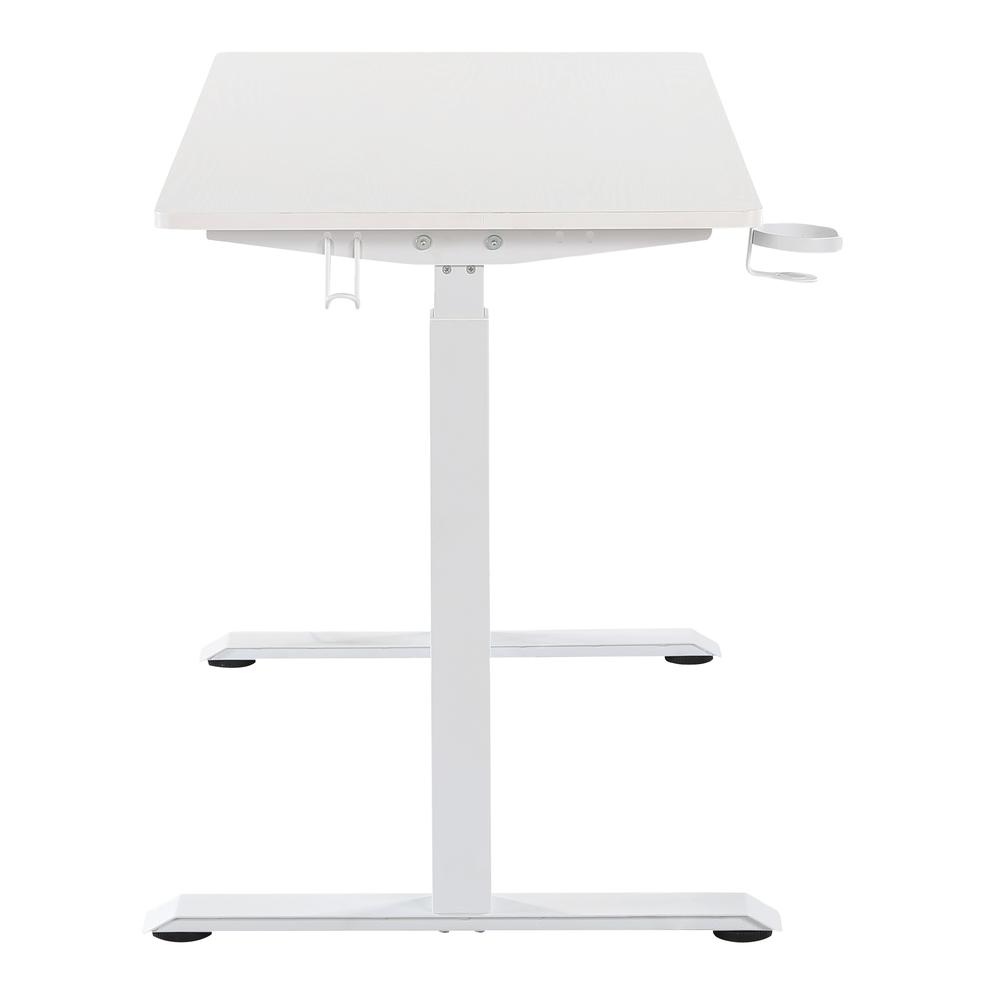 Primo 48″ Sit-to-Stand Elec Desk