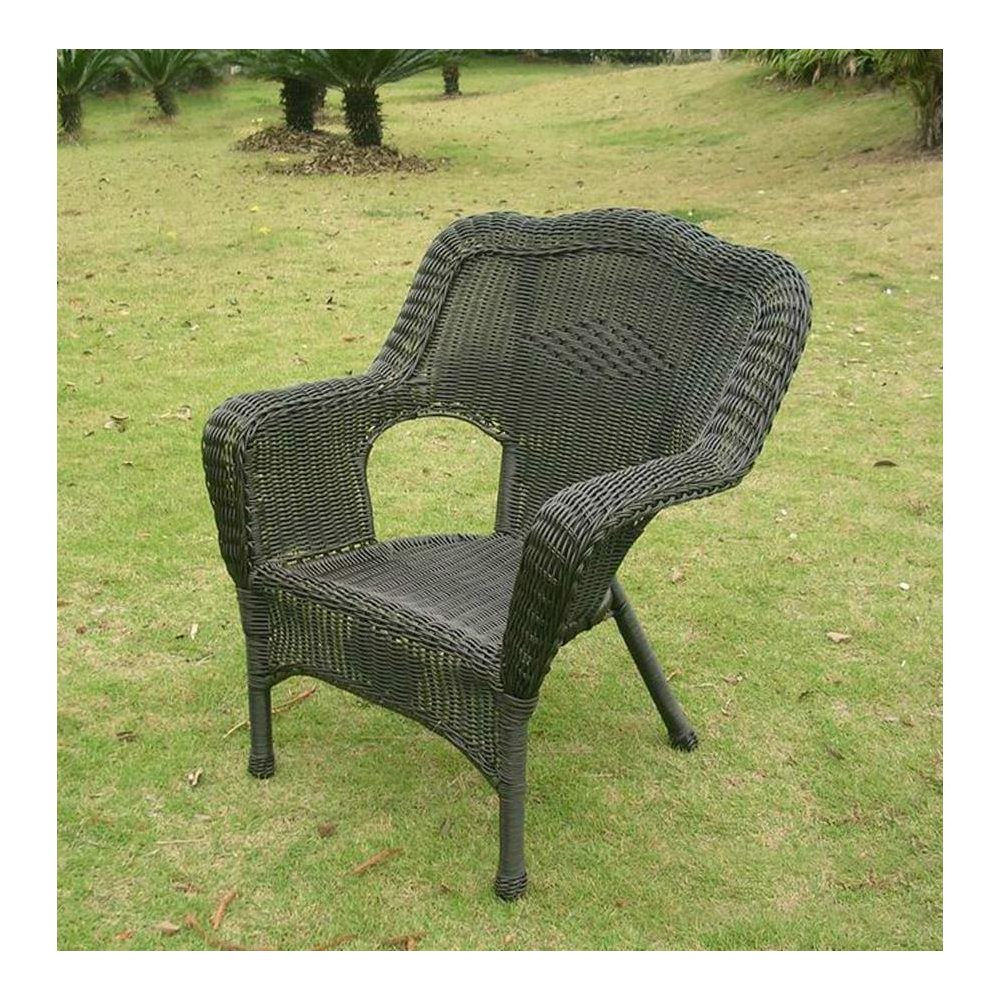 Camelback Resin Wicker Patio Chair