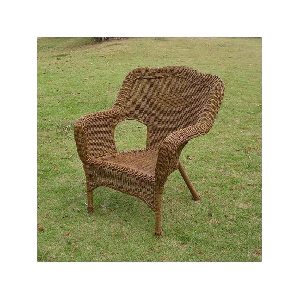 Camelback Resin Wicker Patio Chair