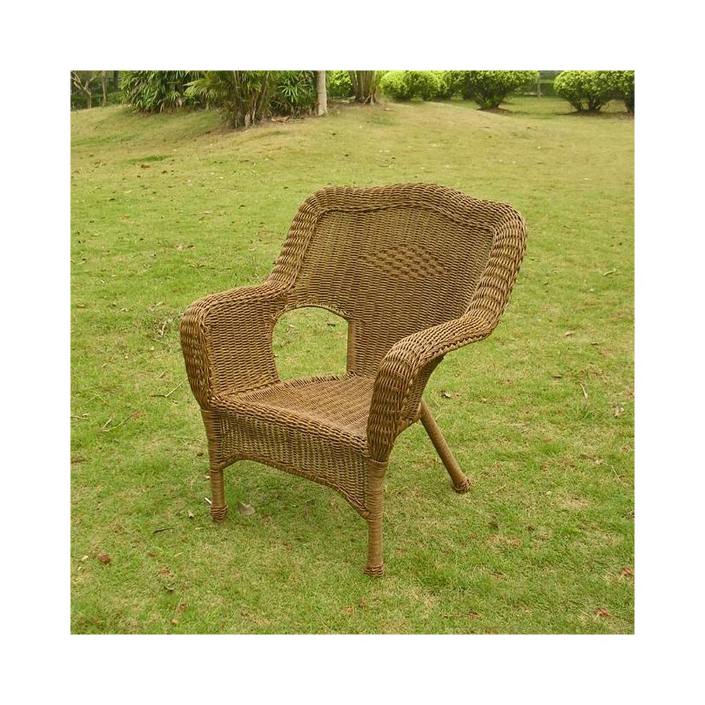Camelback Resin Wicker Patio Chairs (Set of 2)