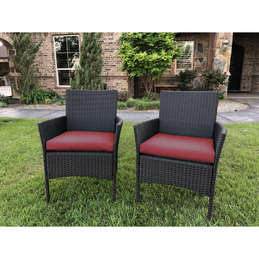 Resin Wicker/Steel Contemporary Arm Chair with Cushions  (Set of 2)