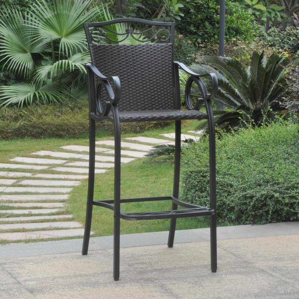 Set of 2 Valencia Resin Wicker/Steel Bar Bistro Chairs