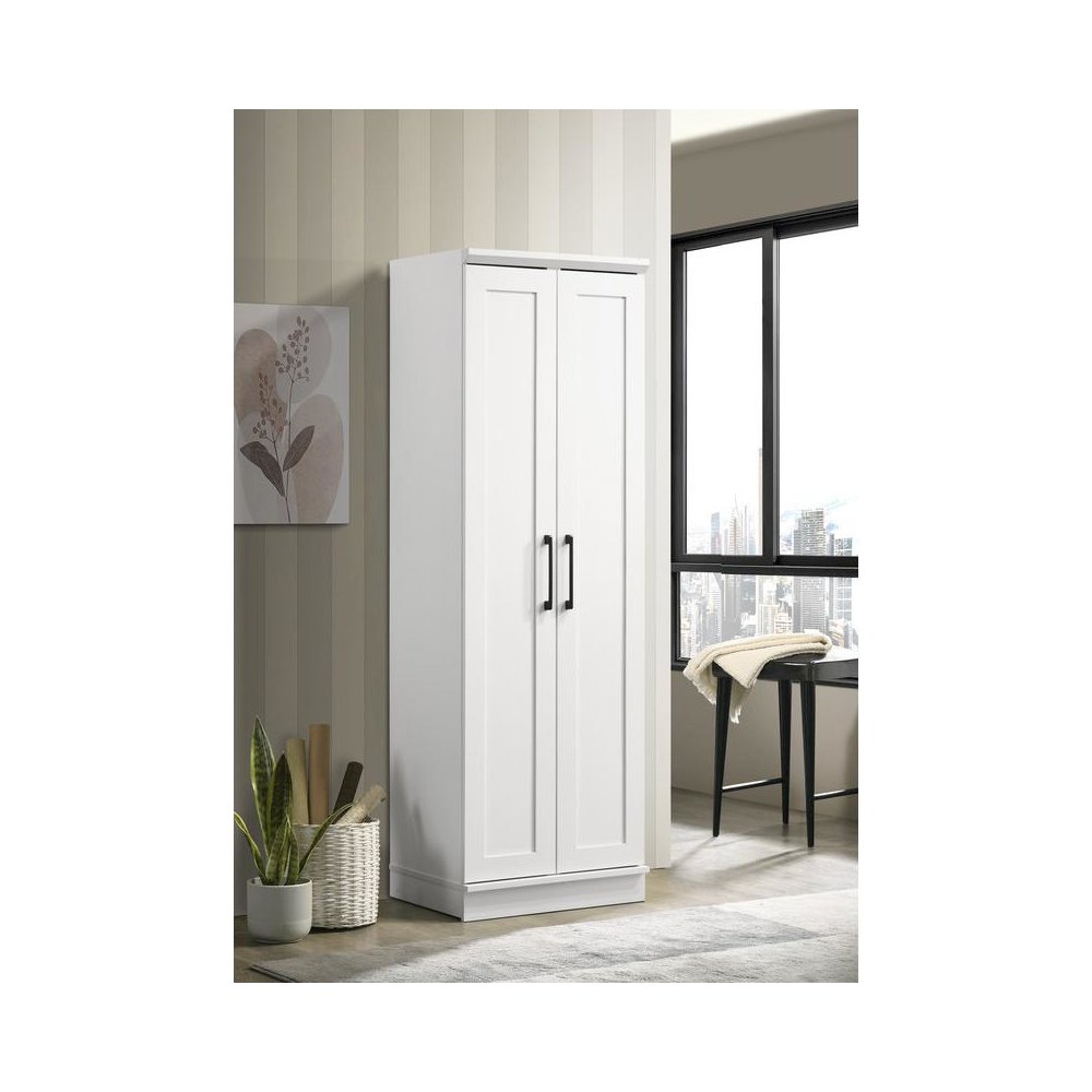 Evelyn White Sleek Storage Cabinet with Framed Panel Design
