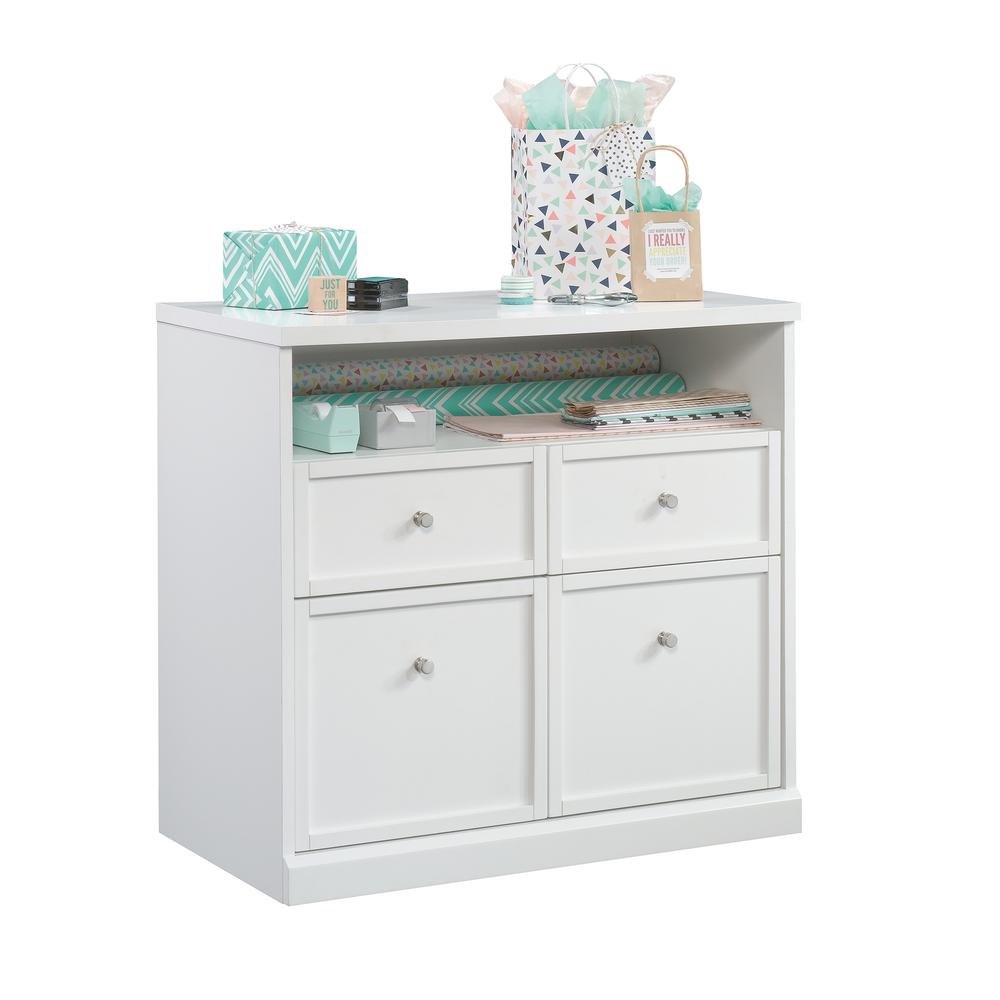 Craft Pro Series Craft & Hobby Storage