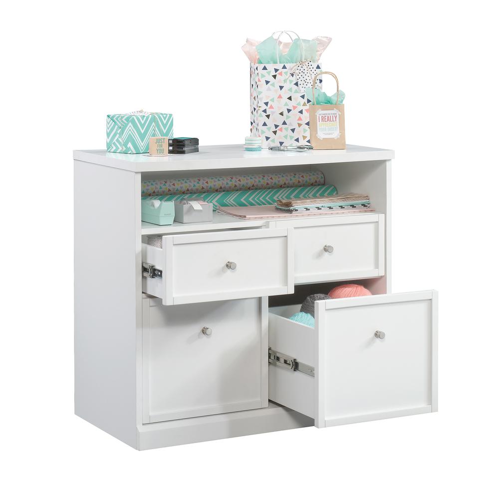Craft Pro Series Craft & Hobby Storage