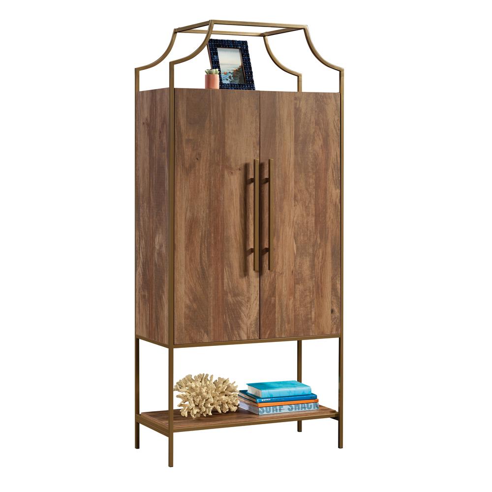 International Lux Storage Cabinet