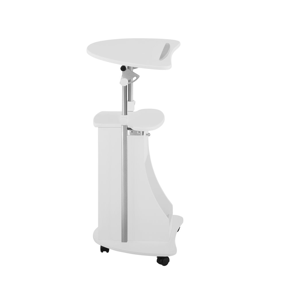 Sit-to-Stand Rolling Adjustable Storage Medical Laptop Computer Cart