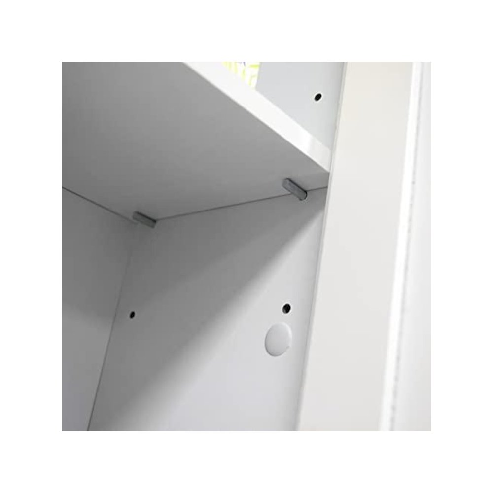 Two Door Wall Cabinet with shelves