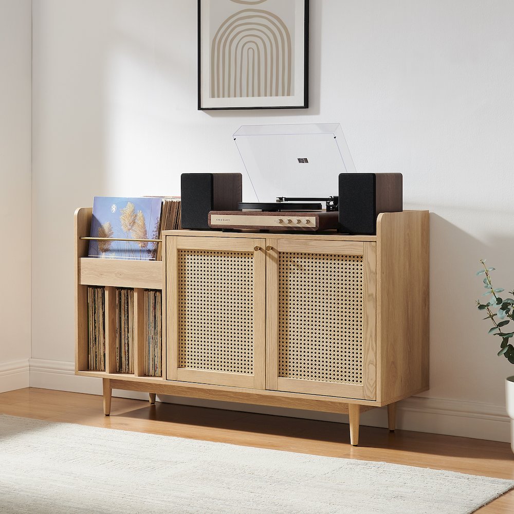 Vinyl Storage