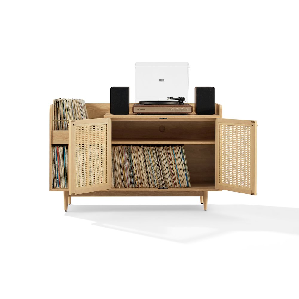 Vinyl Storage