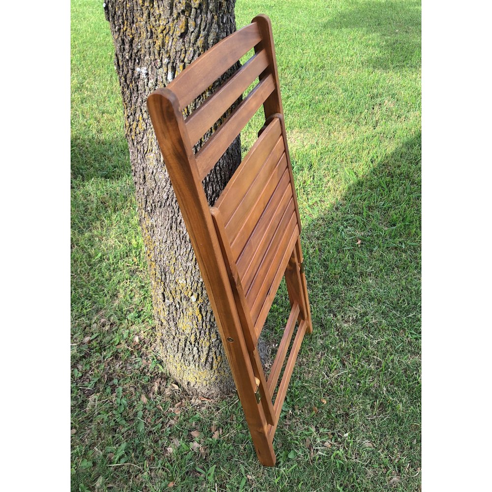 Acacia Wood Folding Chairs (Set of 2)