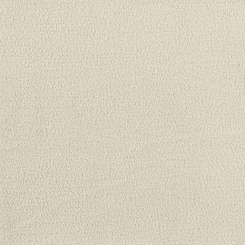 Teddy Fabric