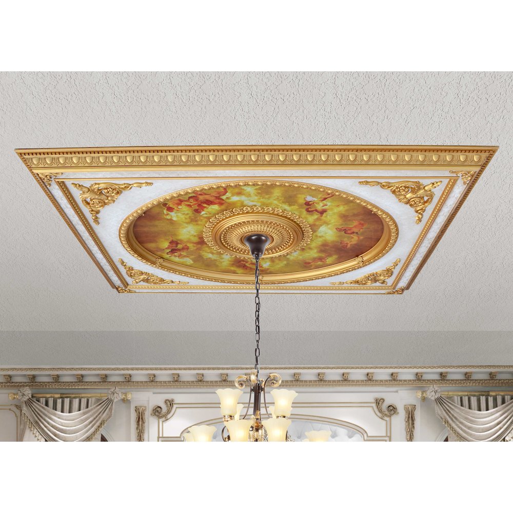 Classical Design Rectangular Ceiling Medallion 6ft x 8ft