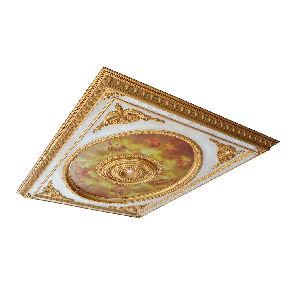 Classical Design Rectangular Ceiling Medallion 6ft x 8ft