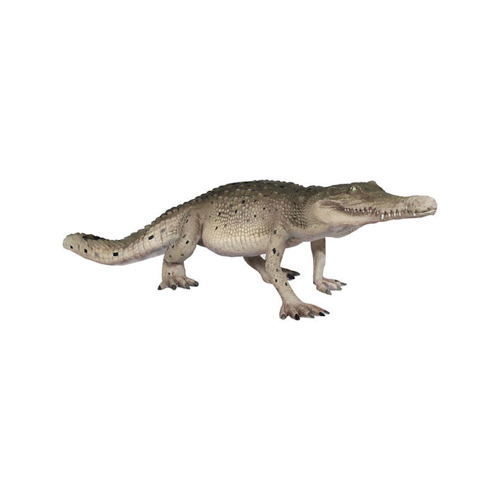 Crocodile Walking 4Ft