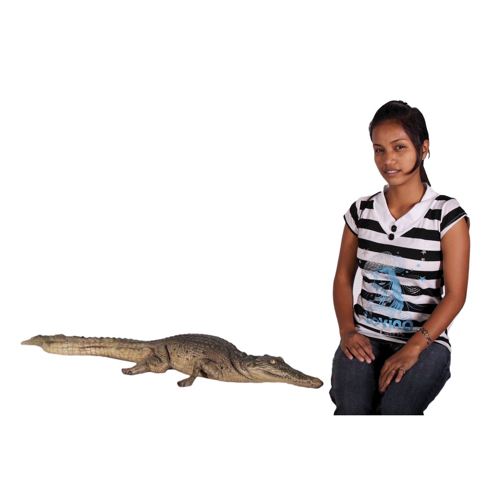 Crocodile Walking 4Ft