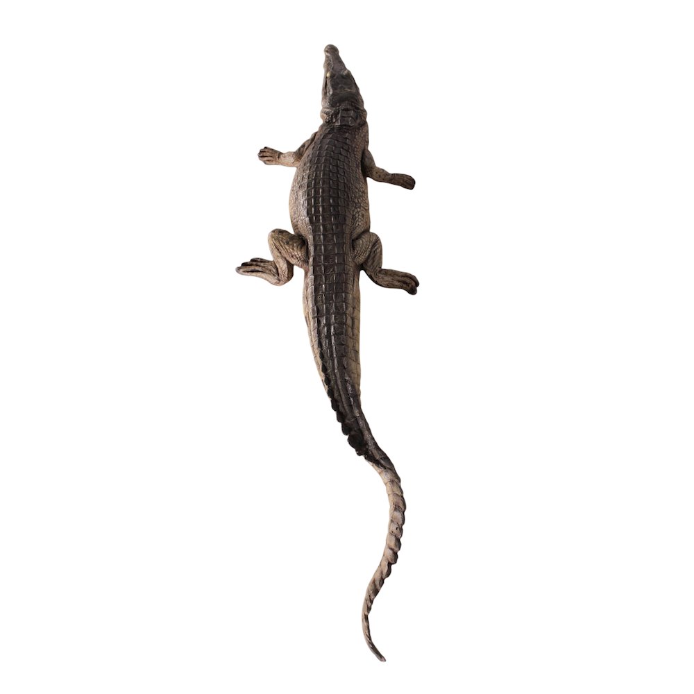 Crocodile Walking 4Ft
