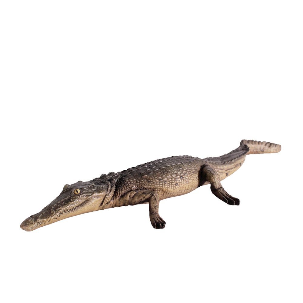 Crocodile Walking 4Ft