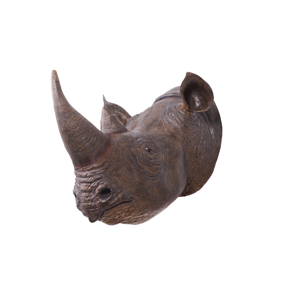 Rhinoceros Head