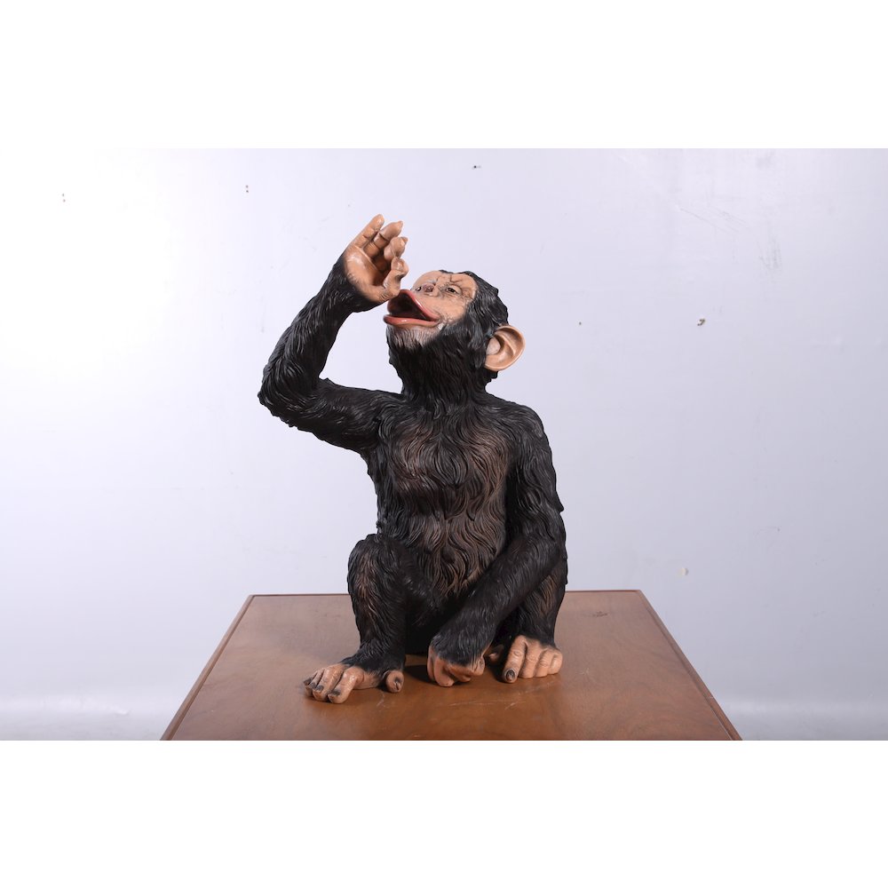Boozy Chimp Bottle Holder