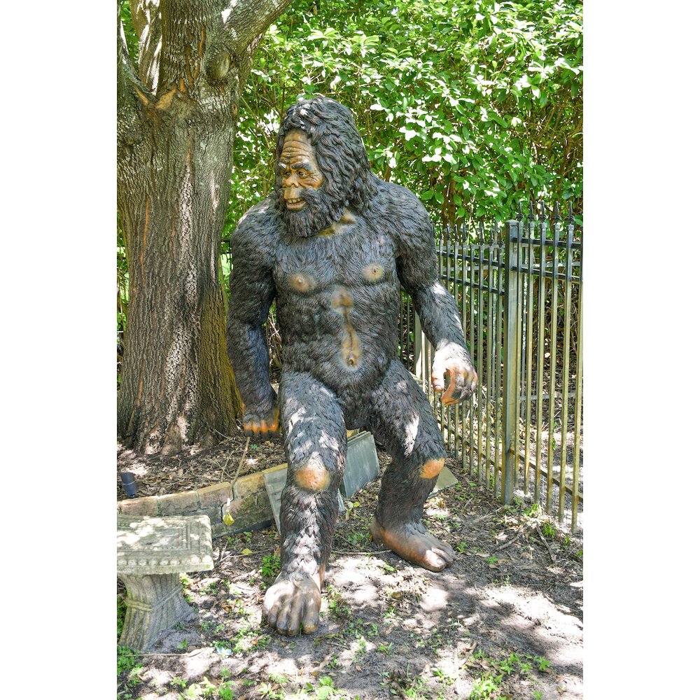 Big Foot