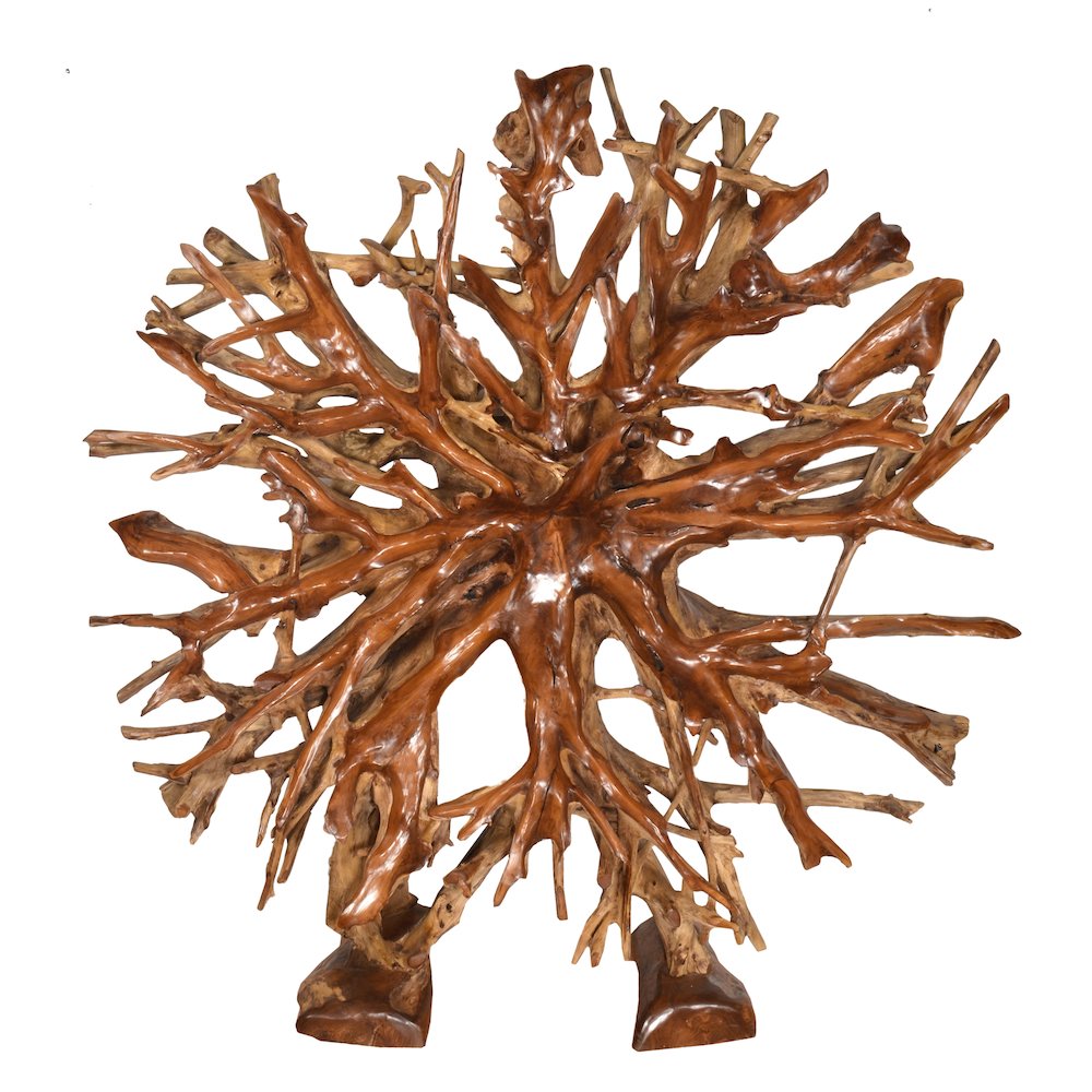 Teak Root Architectural Piece with Stand  B