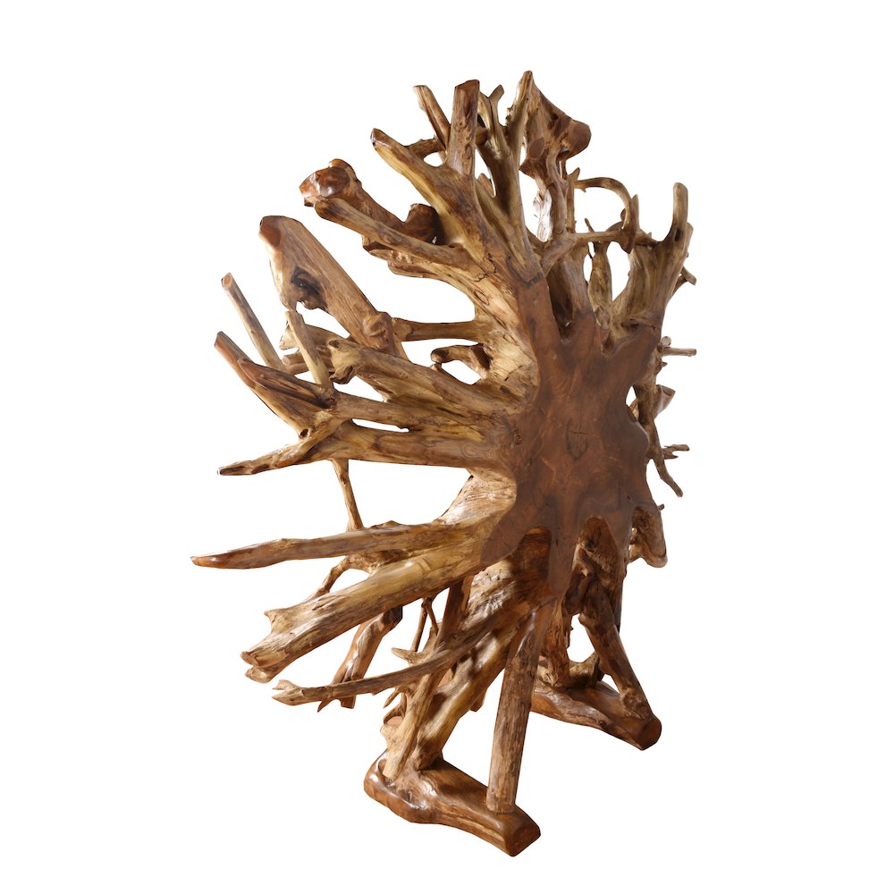 Teak Root Architectural Piece with Stand  B